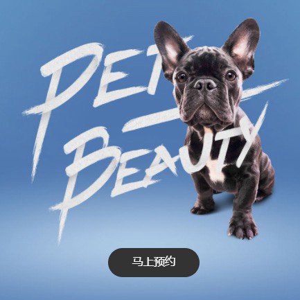 巫山宠物中心小程序开发